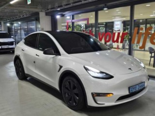 테슬라 모델 Y 롱 레인지 2021년 8월 중고차 사진 1