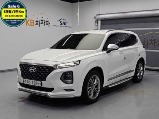 현대 싼타페 TM