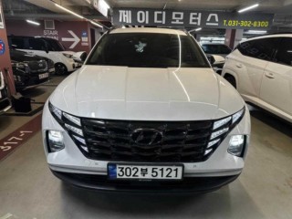 현대 투싼 하이브리드(NX4)