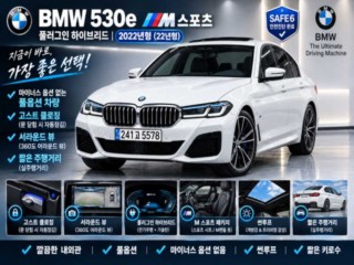 BMW 5시리즈 (G30)