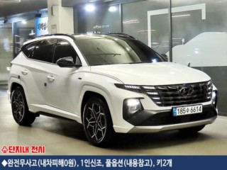 현대 투싼 하이브리드(NX4)