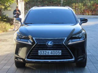 렉서스 NX
