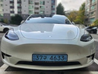 테슬라 모델 Y