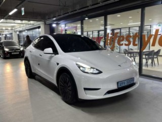 테슬라 모델 Y