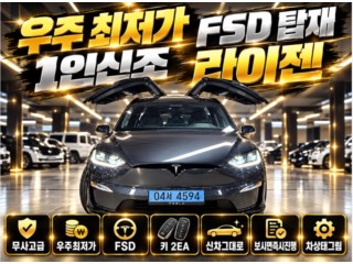 테슬라 모델 X