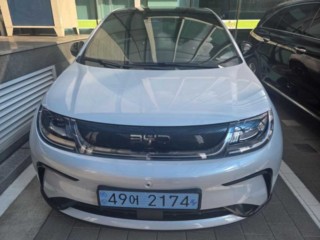BYD 돌핀