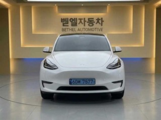 테슬라 모델 Y