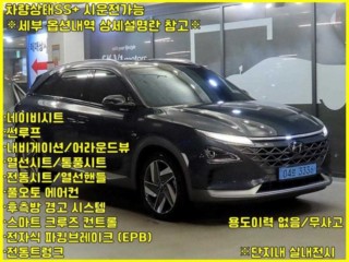 현대 넥쏘