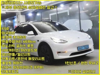 테슬라 모델 Y
