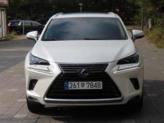 렉서스 NX