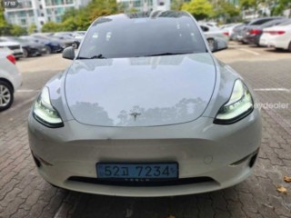 테슬라 모델 Y