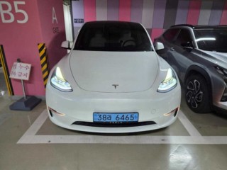 테슬라 모델 Y