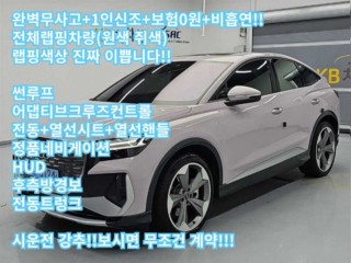 아우디 Q4 e-트론