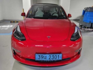 테슬라 모델 Y
