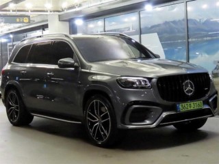 벤츠 GLS클래스 X167