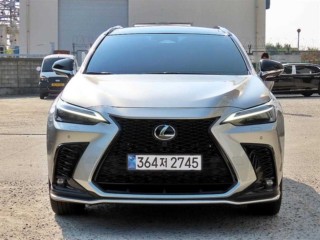 렉서스 NX 450h+