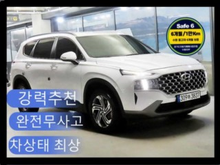 현대 더 뉴 싼타페