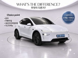 테슬라 모델 Y