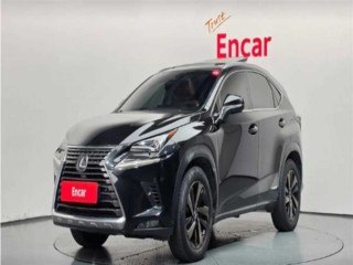 렉서스 NX 300h