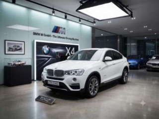 수원 중고차 BMW X4 (F26)  xDrive 20d 2016.07식 121,791km