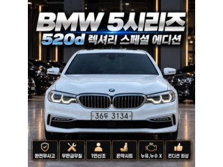 BMW 5시리즈 (G30)