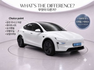 테슬라 모델 Y