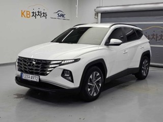 현대 투싼 하이브리드(NX4)