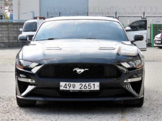 수원 중고차 포드 머스탱 6세대 2.3 쿠페 2019.03식 100,270km