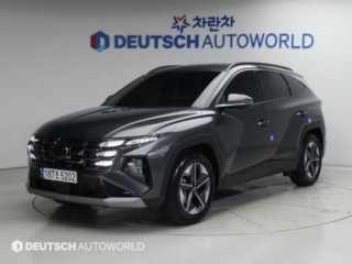 현대 더 뉴 투싼 (NX4)