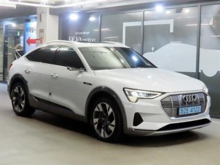 아우디 e-트론
