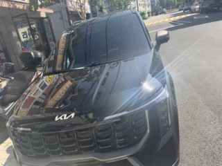 기아 더 뉴 카니발 하이브리드