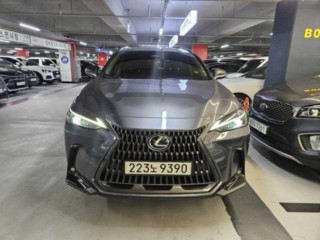 렉서스 NX 350h