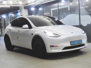테슬라 모델 Y