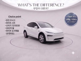 테슬라 모델 Y