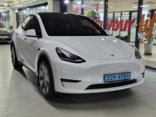 테슬라 모델 Y