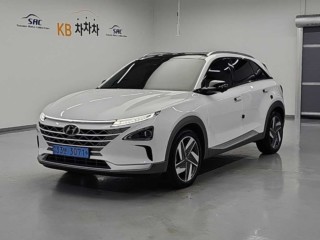 현대 넥쏘