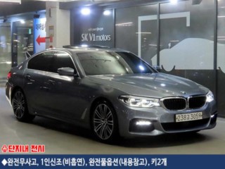 BMW 5시리즈 (G30)