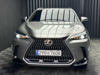 렉서스 NX 450h+ 프리미엄 사진 1