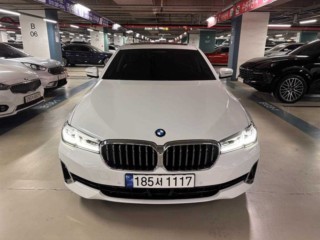BMW 5시리즈 (G30) 530i xDrive 럭셔리