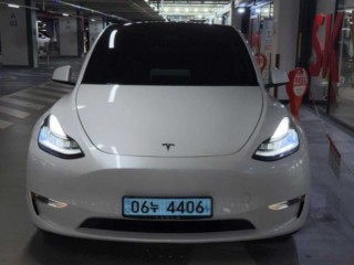 모델 Y 롱 레인지 사진 1