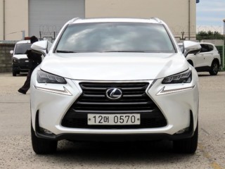렉서스 NX 300h