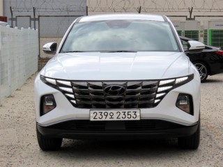 현대 투싼 (NX4)
