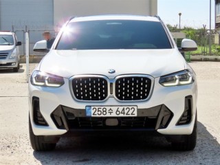 BMW X4 (G02) xDrive 20i M 스포츠