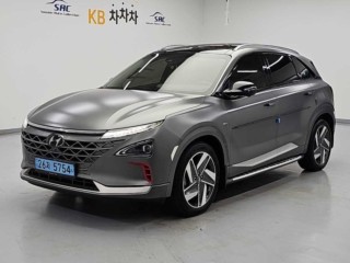 현대 넥쏘