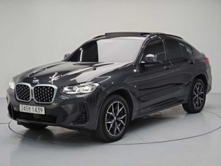 BMW X4 (G02) xDrive 20i M 스포츠