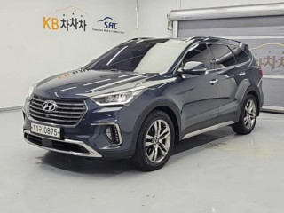 현대 더뉴맥스크루즈