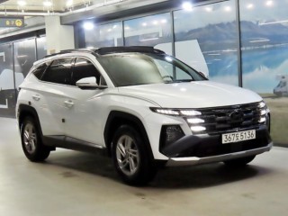 현대 더 뉴 투싼 (NX4)