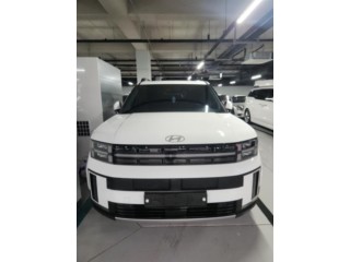 현대 싼타페 MX5
