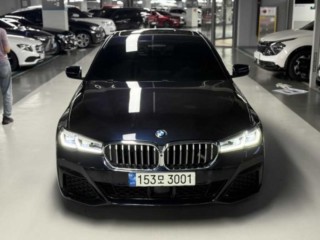 BMW 5시리즈 (G30) 530i xDrive M 스포츠