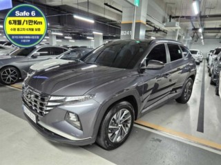 현대 투싼 (NX4)